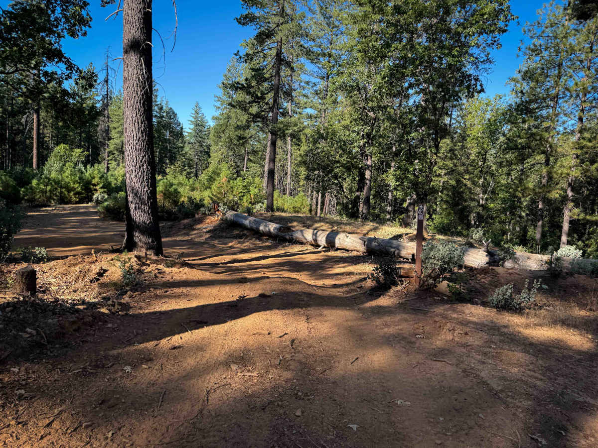 Trail 4-3 (11E34)  photo 5