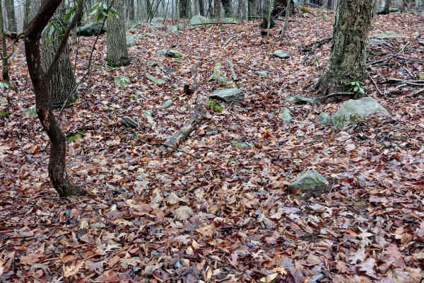 OHV 28 - Rock Run Recreation Area