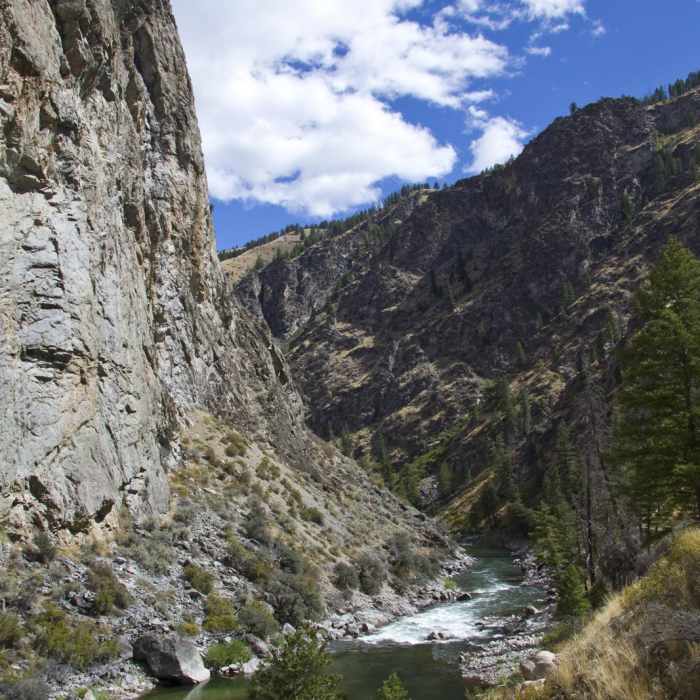 Near Middle Fork of the Salmon River Trail a Day 5