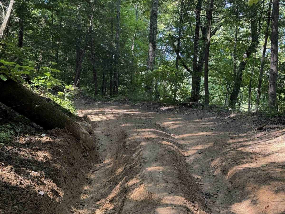 Muse Hollow Trail photo 3