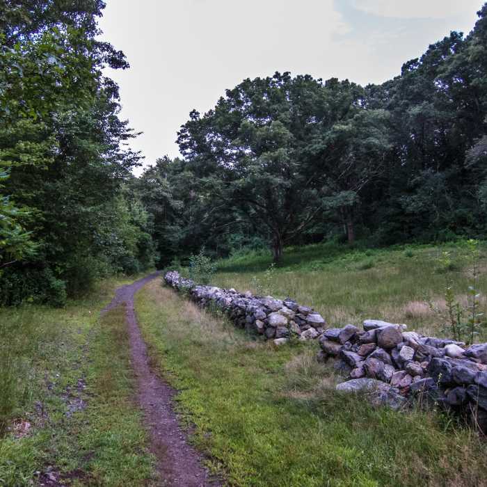 Metfern Cemetery. This cemetery served the Metropolitan State Hospital, a psychiatric hospital, that used to be located 0.5 miles north. Near Beaver Brook Loop