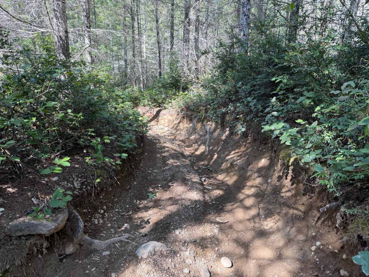 Overland Trail (North) photo 5