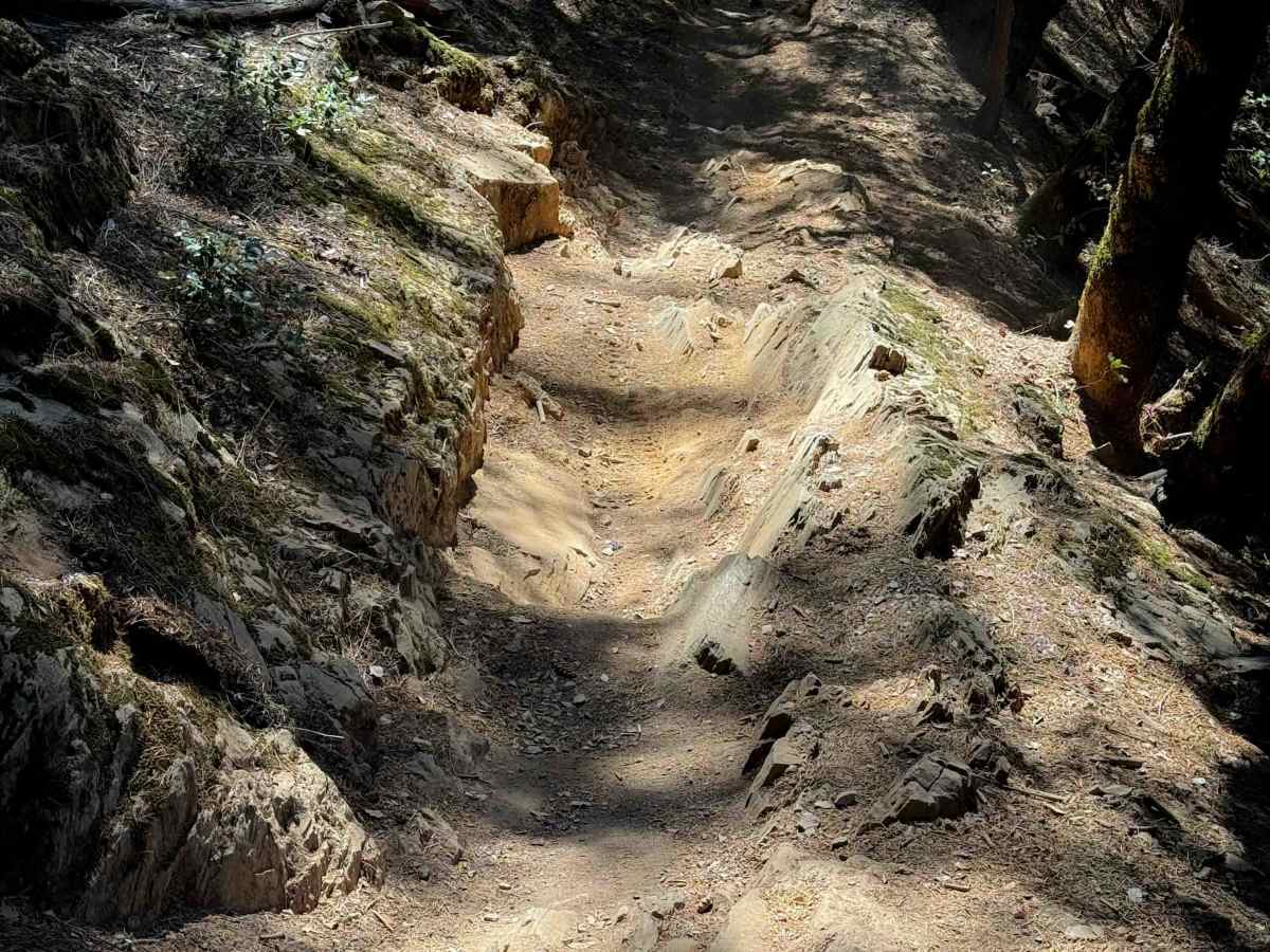 Third Divide  photo 3