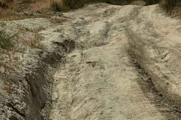 Bee Canyon