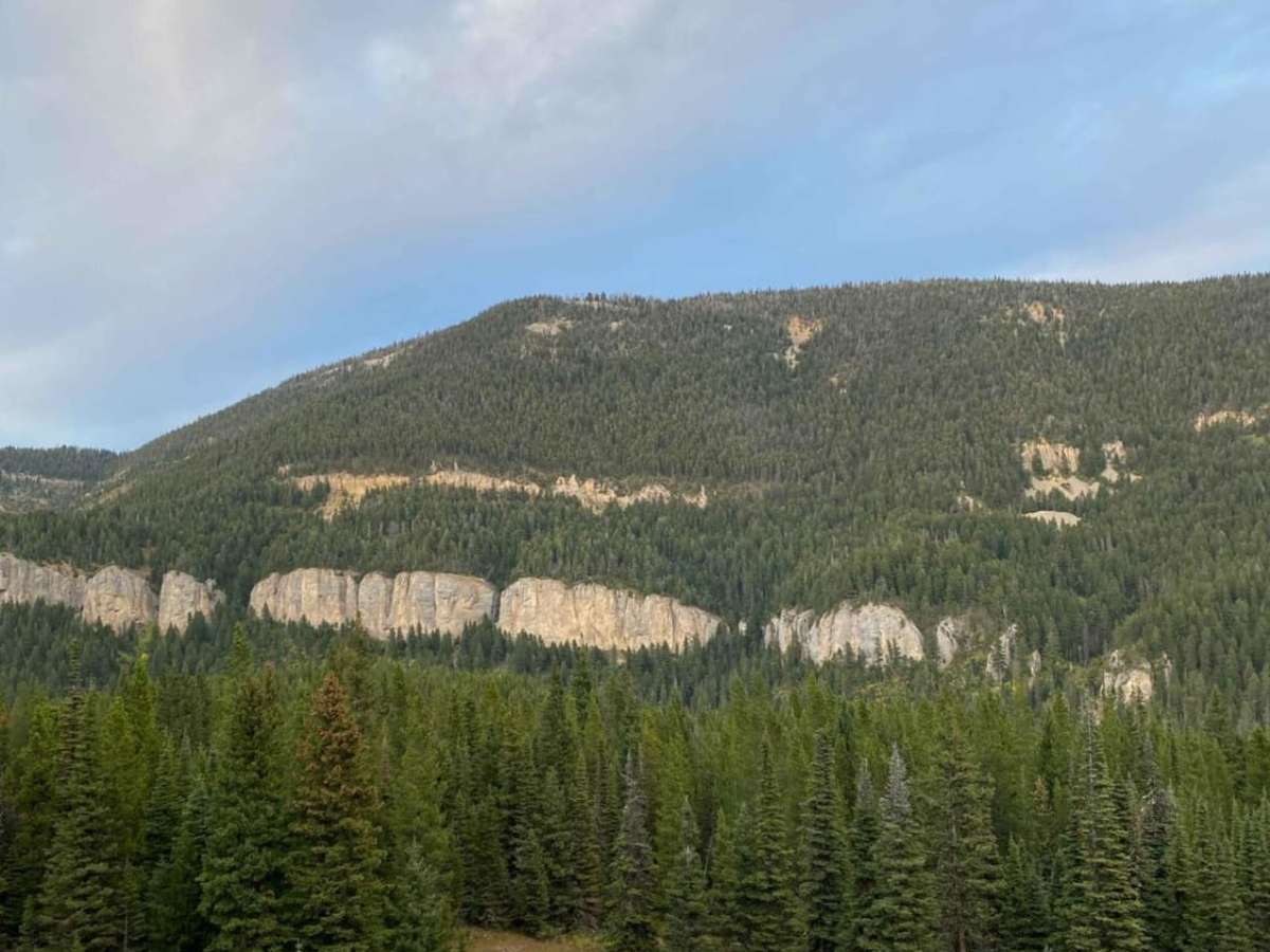 Little Bear Road Offshoot trail photo