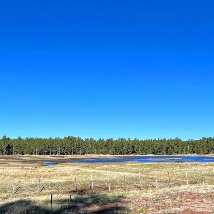 Near Arizona Trail Passage 29: Mormon Lake