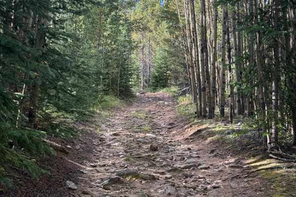 Devils Canyon Spur - FS 2461B