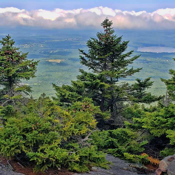 view from Winslow Trail, Pleasant Lake on right Near Winslow State Park Loop