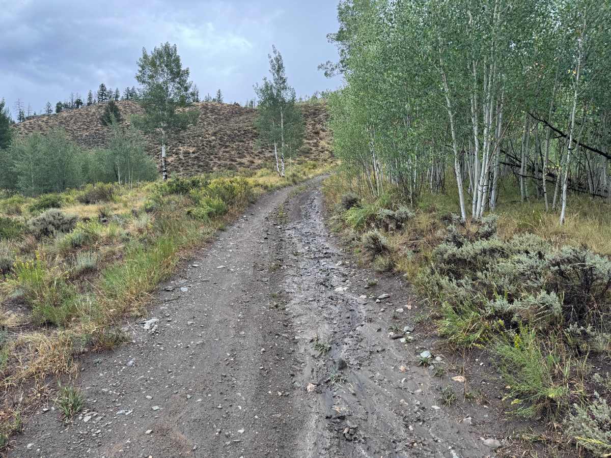 Willow Creek Mine Road trail photo