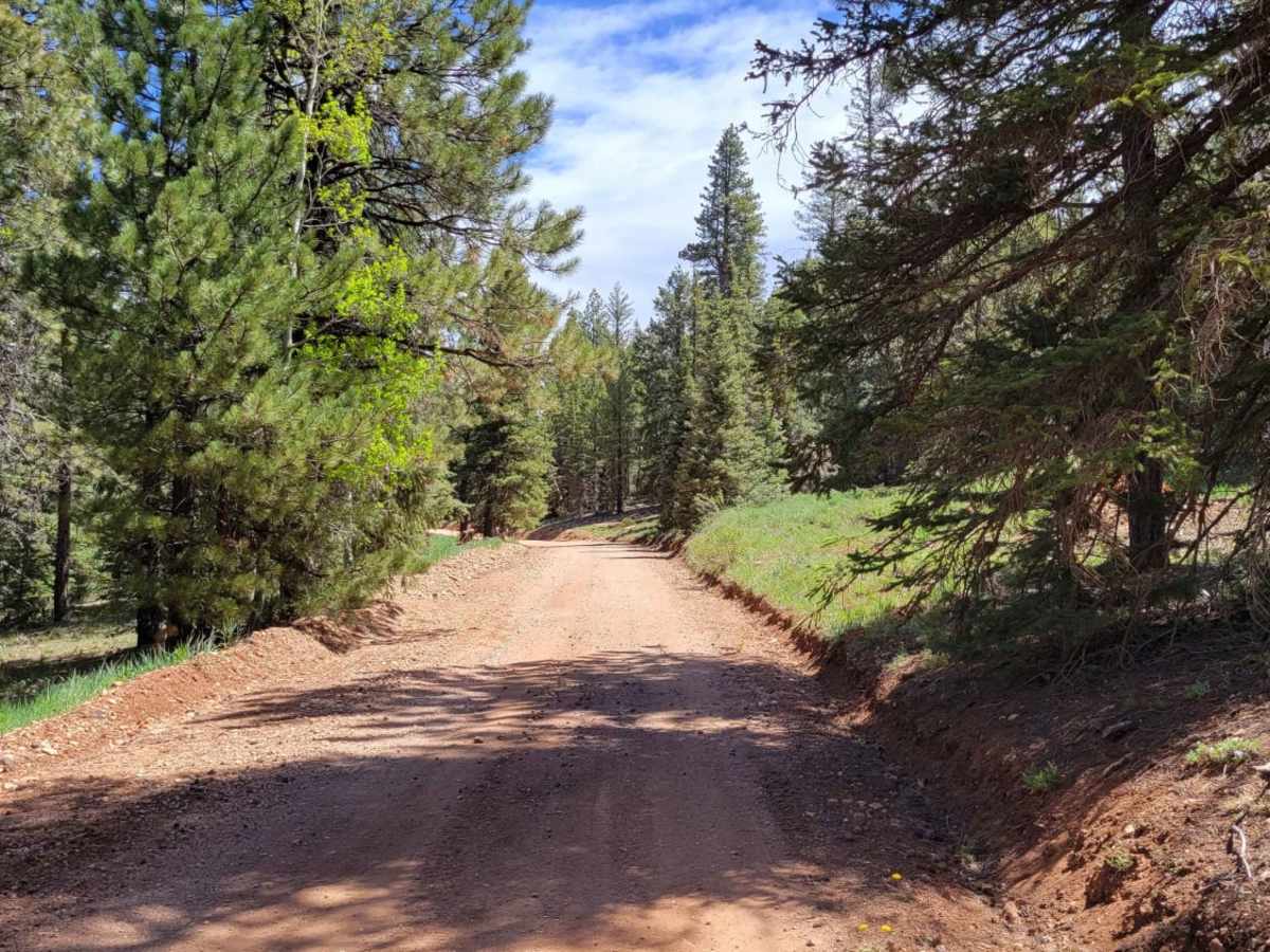 Billingsly Trail photo 2