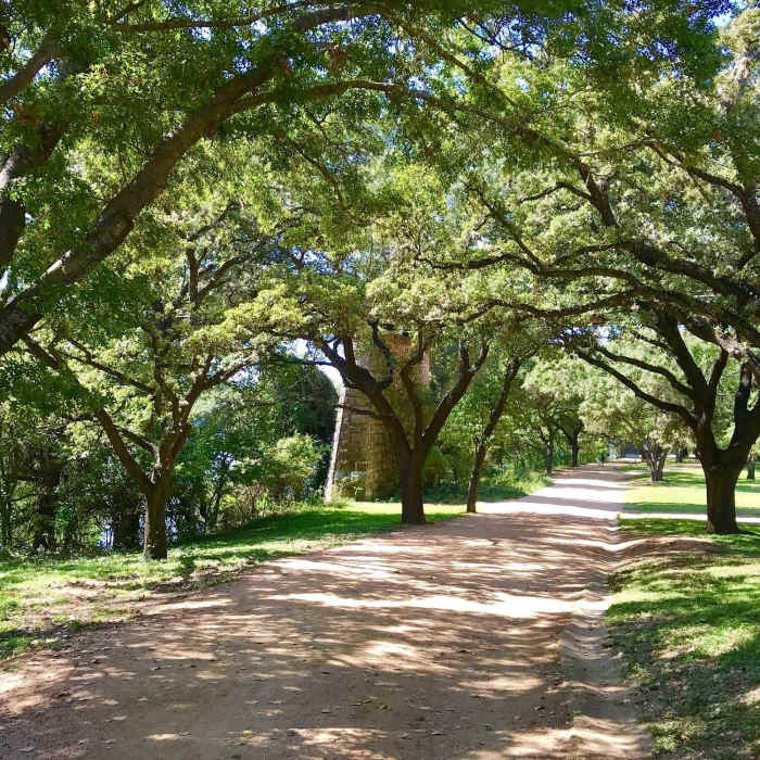 Downtown Austin Tour. Near Downtown Austin Tour