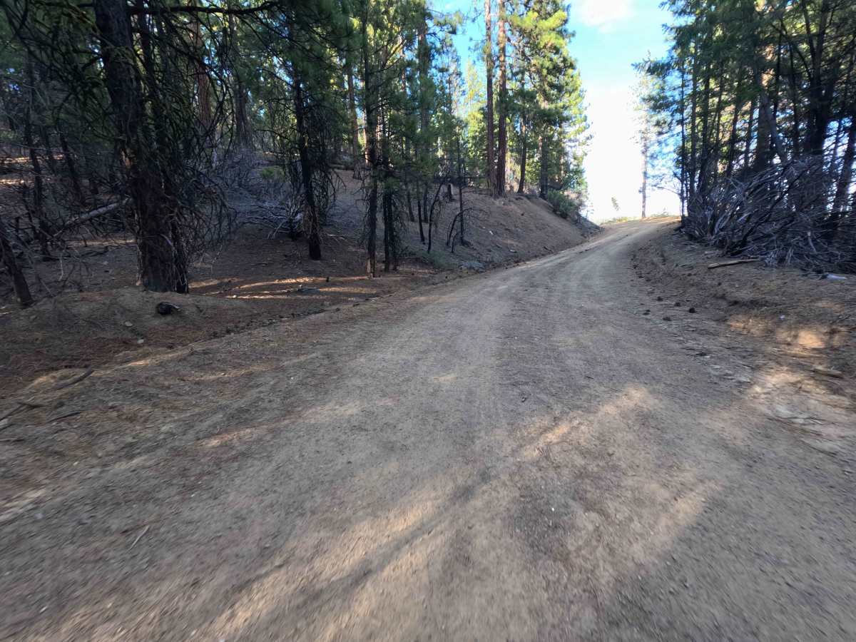 Trough Ridge - FS 24N05 photo 6