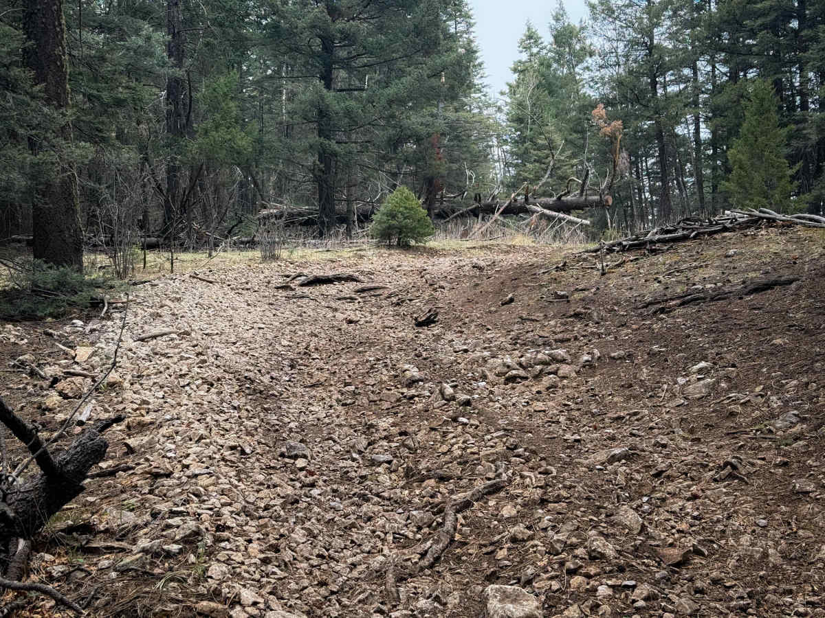 Benson/Bluff Springs - FS 5006 photo 3