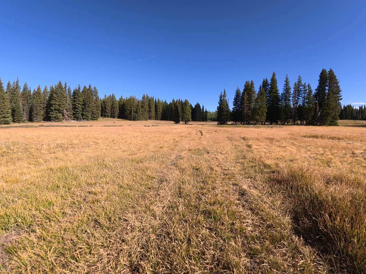 Burrow Mountain Road - FS 246 trail photo