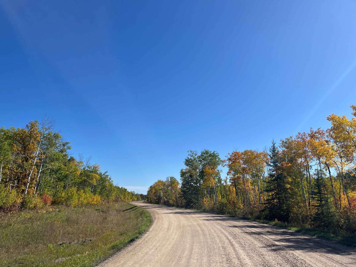Birch River Road photo 2