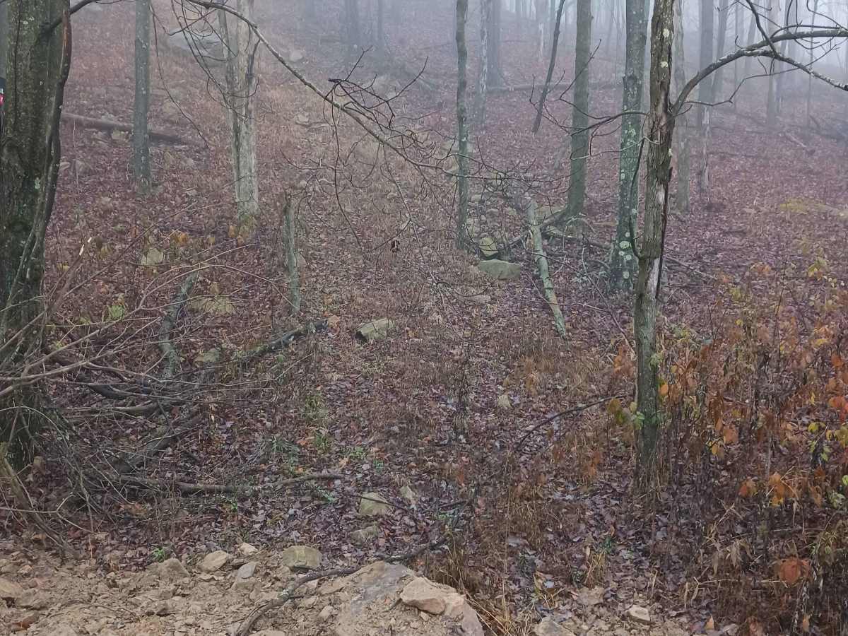 OHV 21 - Rock Run Recreation Area trail photo