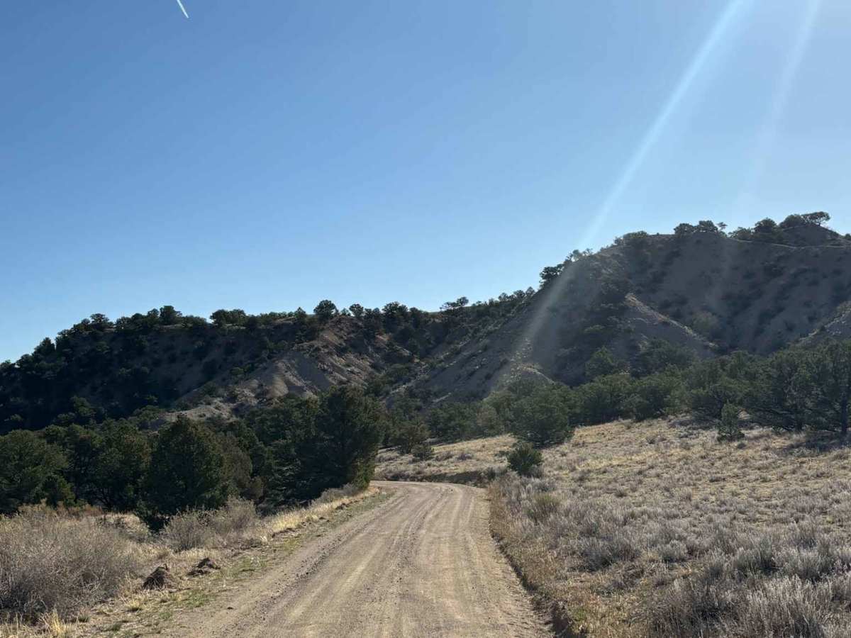 Droney Gulch photo 3