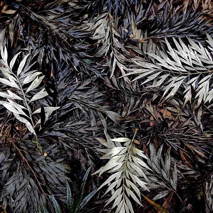 Near Waipo'o Falls via Canyon Trail from Pu'u Hinahina Near Waipo'o Falls via Canyon Trail from Pu'u Hinahina