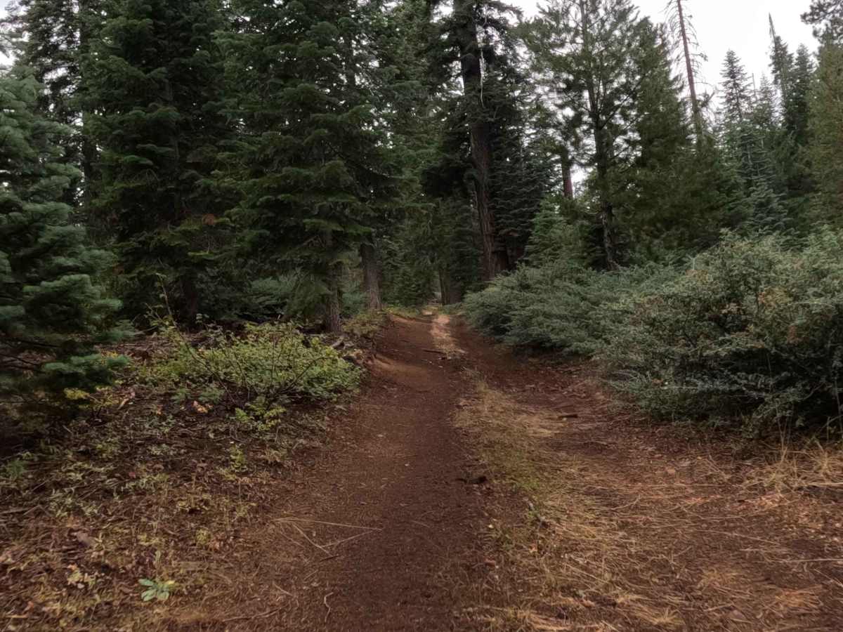 Minarets No 80 YA Spur - FS 5S012YA trail photo