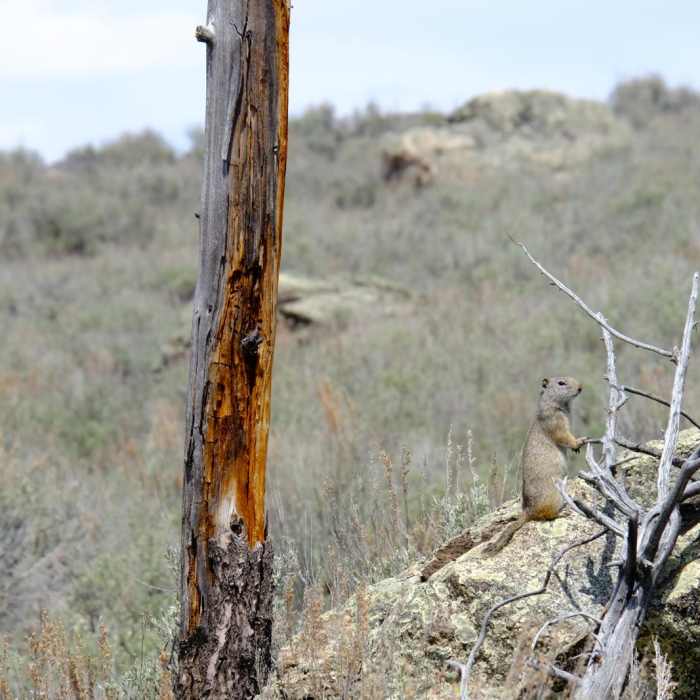 Near Garnet Hill Loop