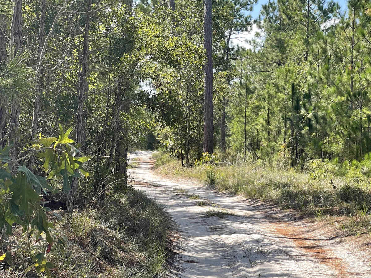 Goose Pond Road photo 5