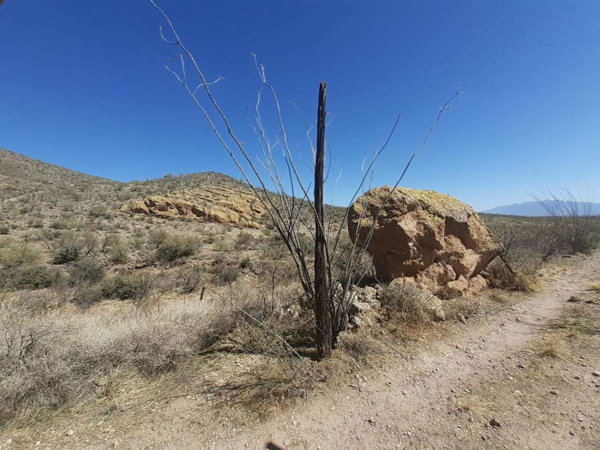 Horseshoe tank trail trail photo