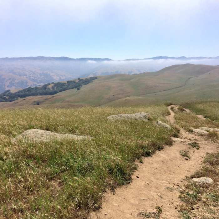 Near Hidden Valley Trail