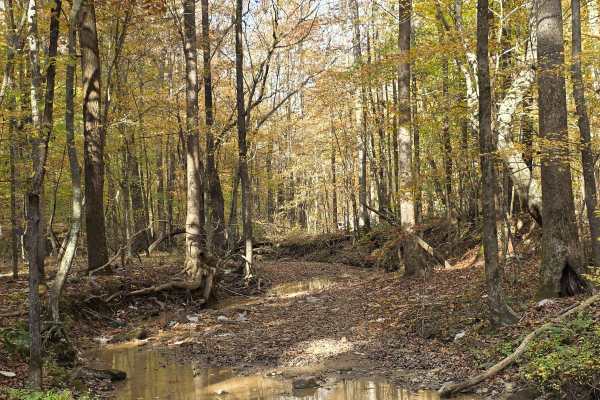 Creekside