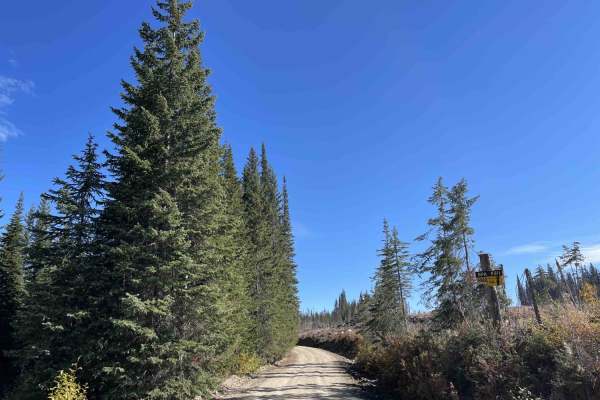 Spa Hills to Arthur Lake Rec Site