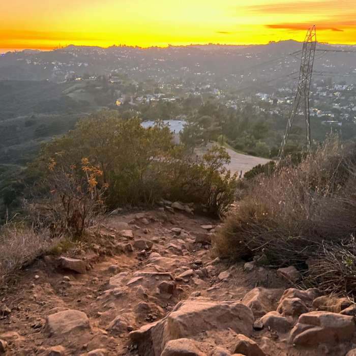 Near Wisdom Tree Loop