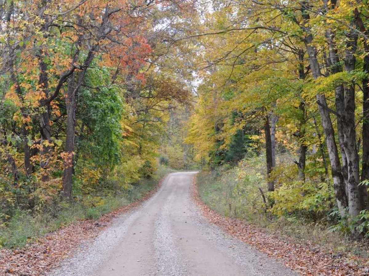 Nichol Road photo 4