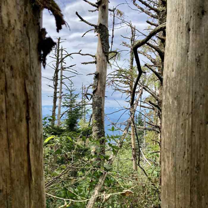 Near Blackstock Knob Near Blackstock Knob