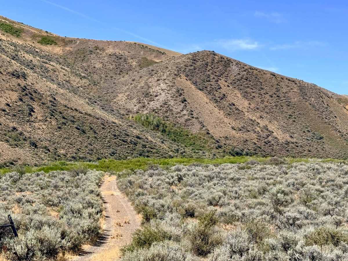  Gance Creek - FS 56869 photo 3