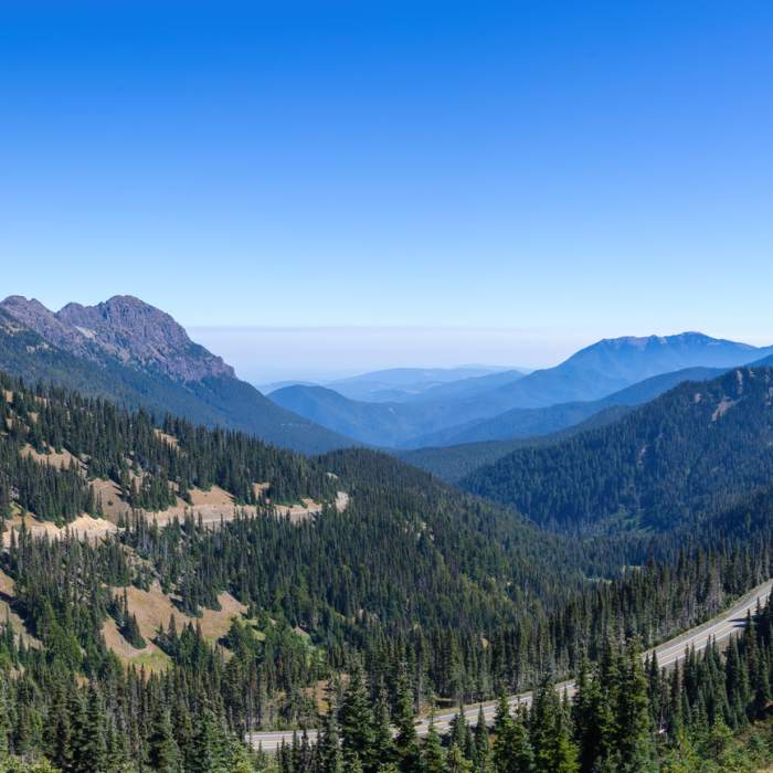 Hurricane Ridge to Switchback Trail | Hiking Trail Maps, Difficulty ...