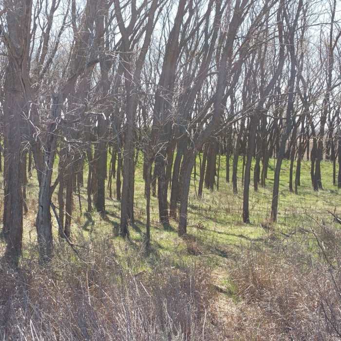 Peaceful area for a break Near Owl Cove Recreation Area