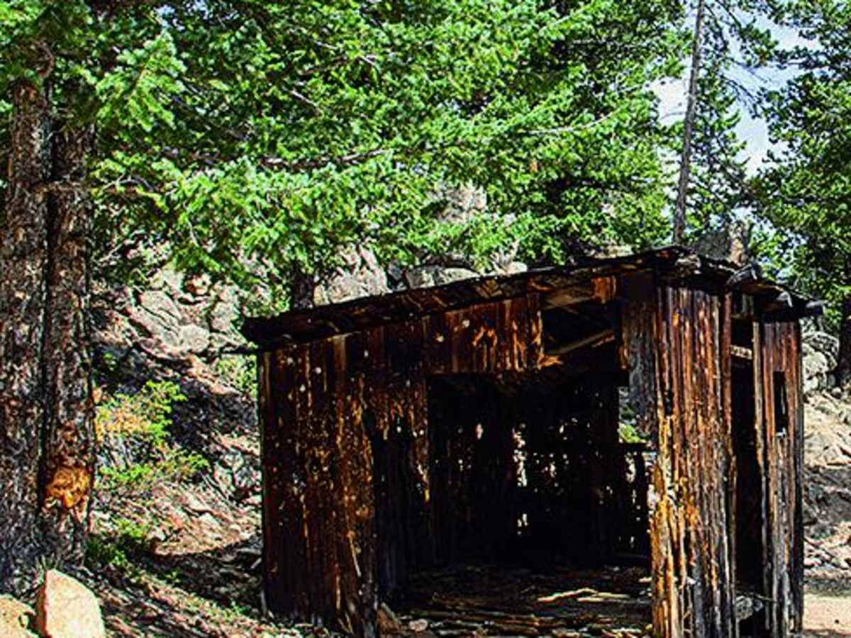Cascade Creek trail photo