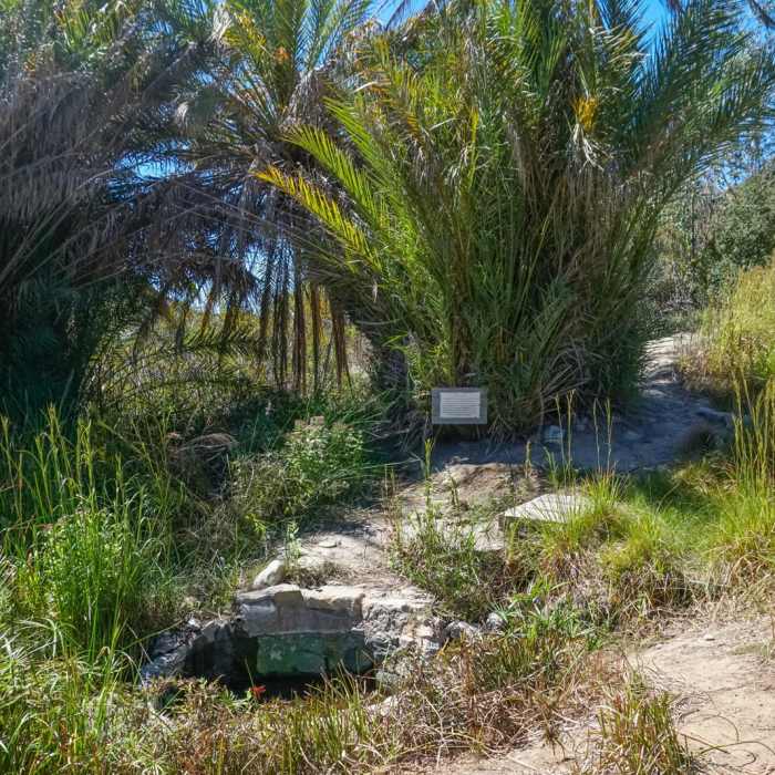 Near San Juan Creek Trail