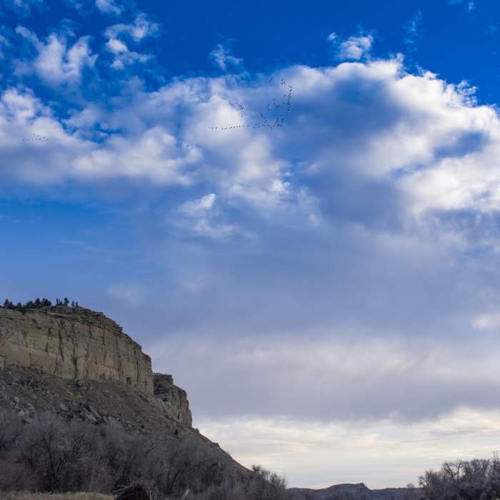 Near Four Dances Trail