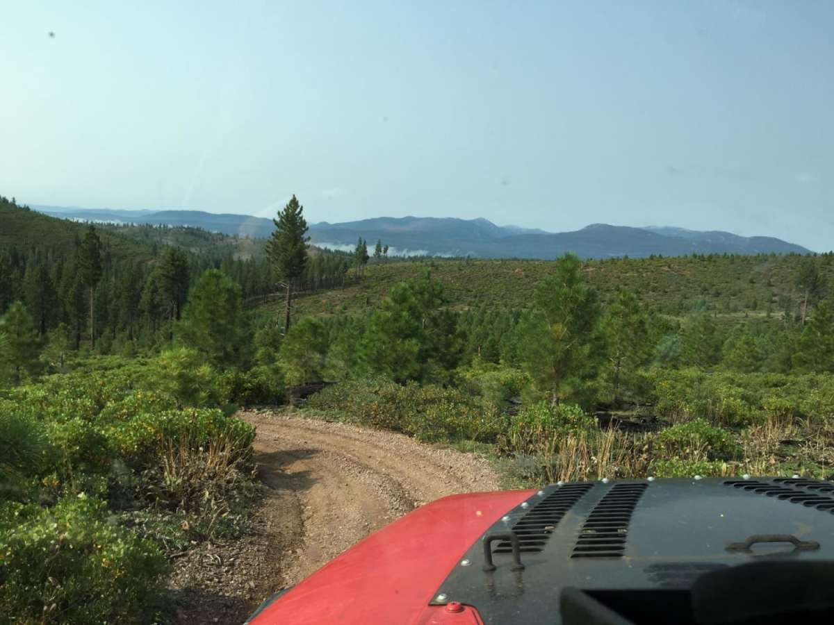 Bear Valley Loop Trail photo 4