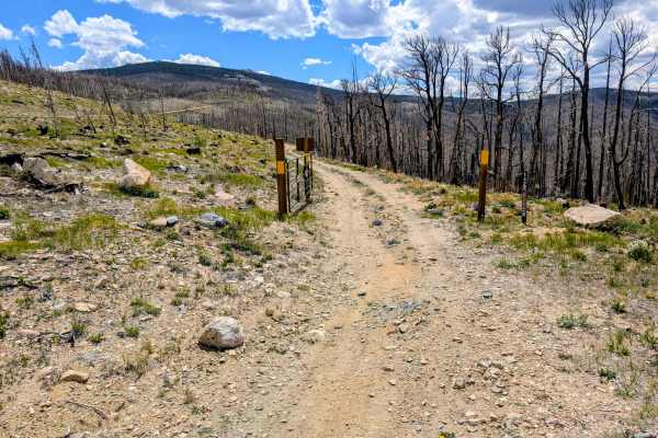 Black Hollow Road - FS 142