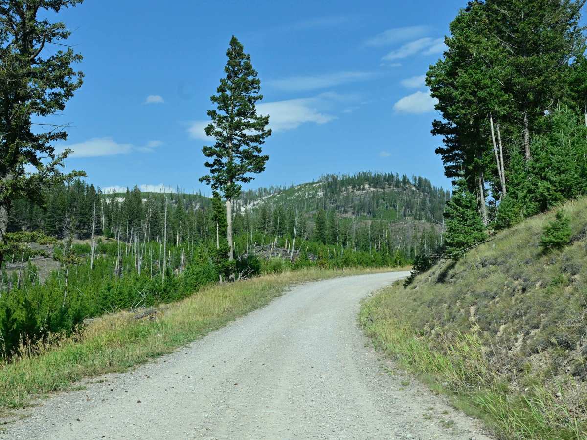 Indian Meadows photo 4