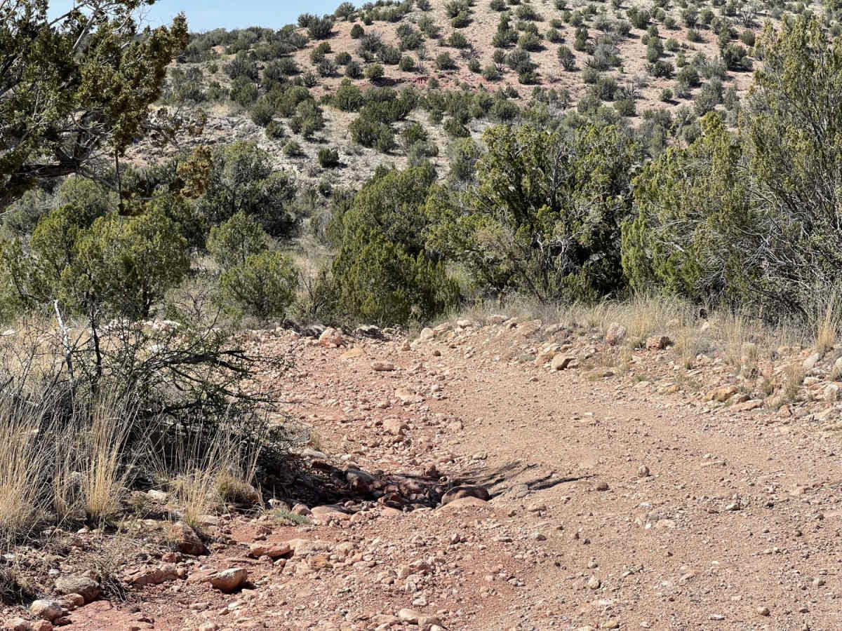 Muldoon's Dead End photo 2