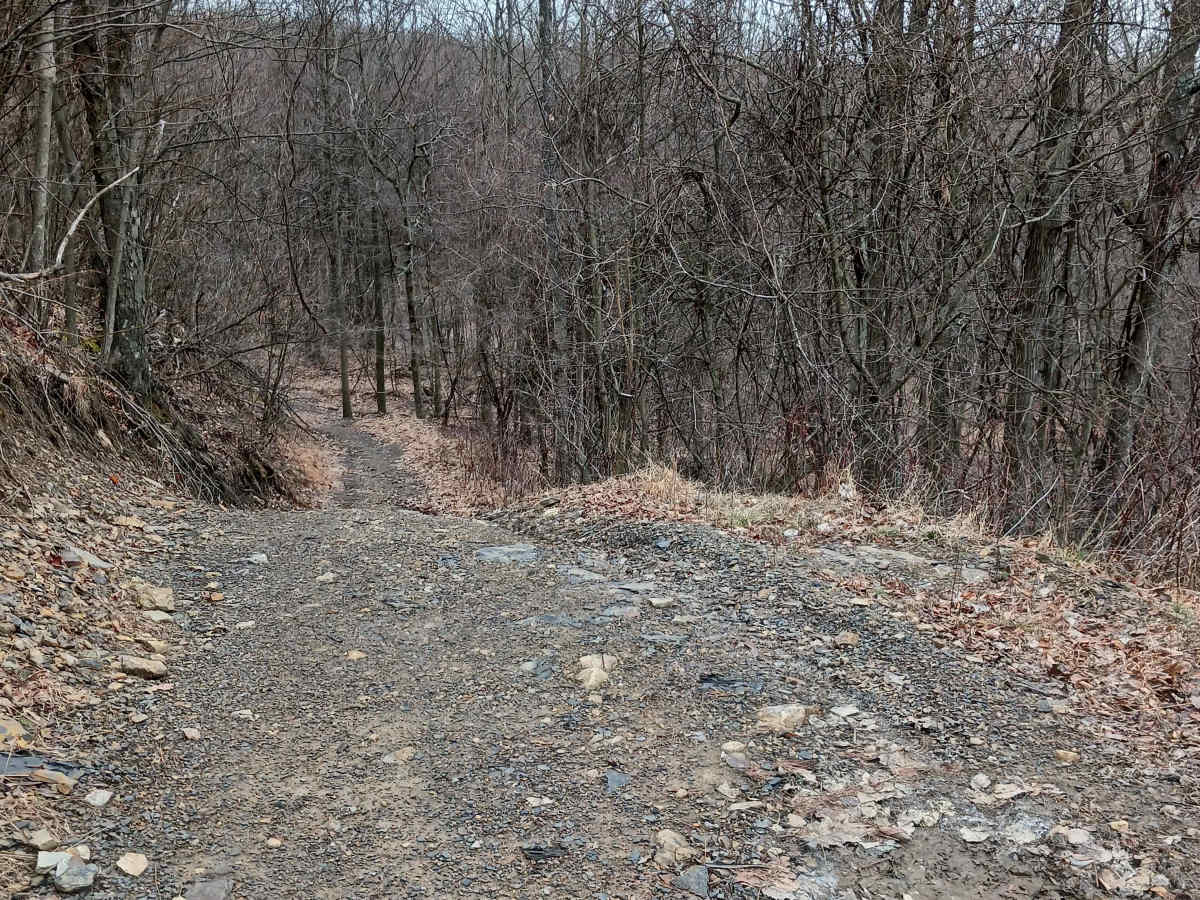 Trail 4E - Rock Run Recreation Area photo 6
