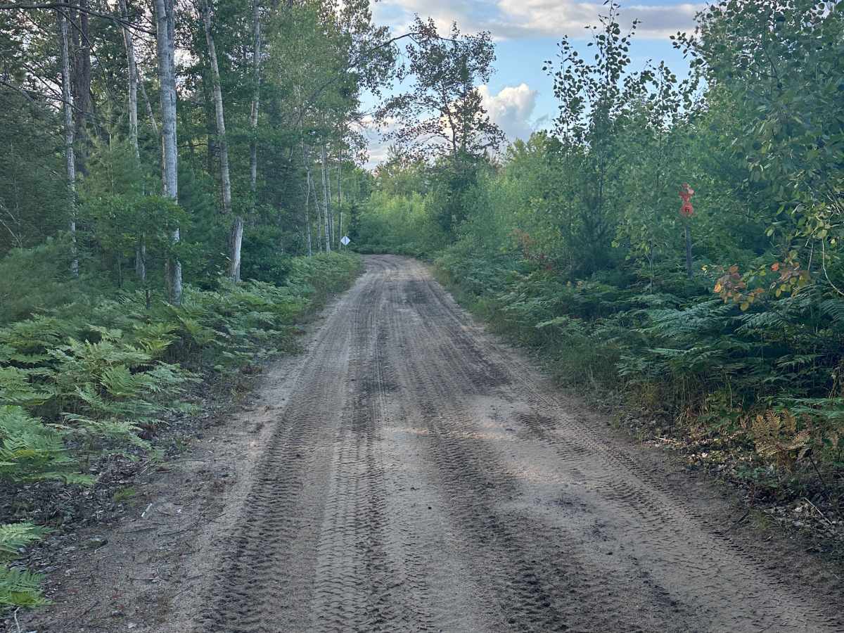 Panther Road photo 2