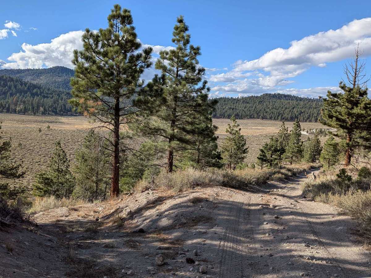 FS 3S142 trail photo