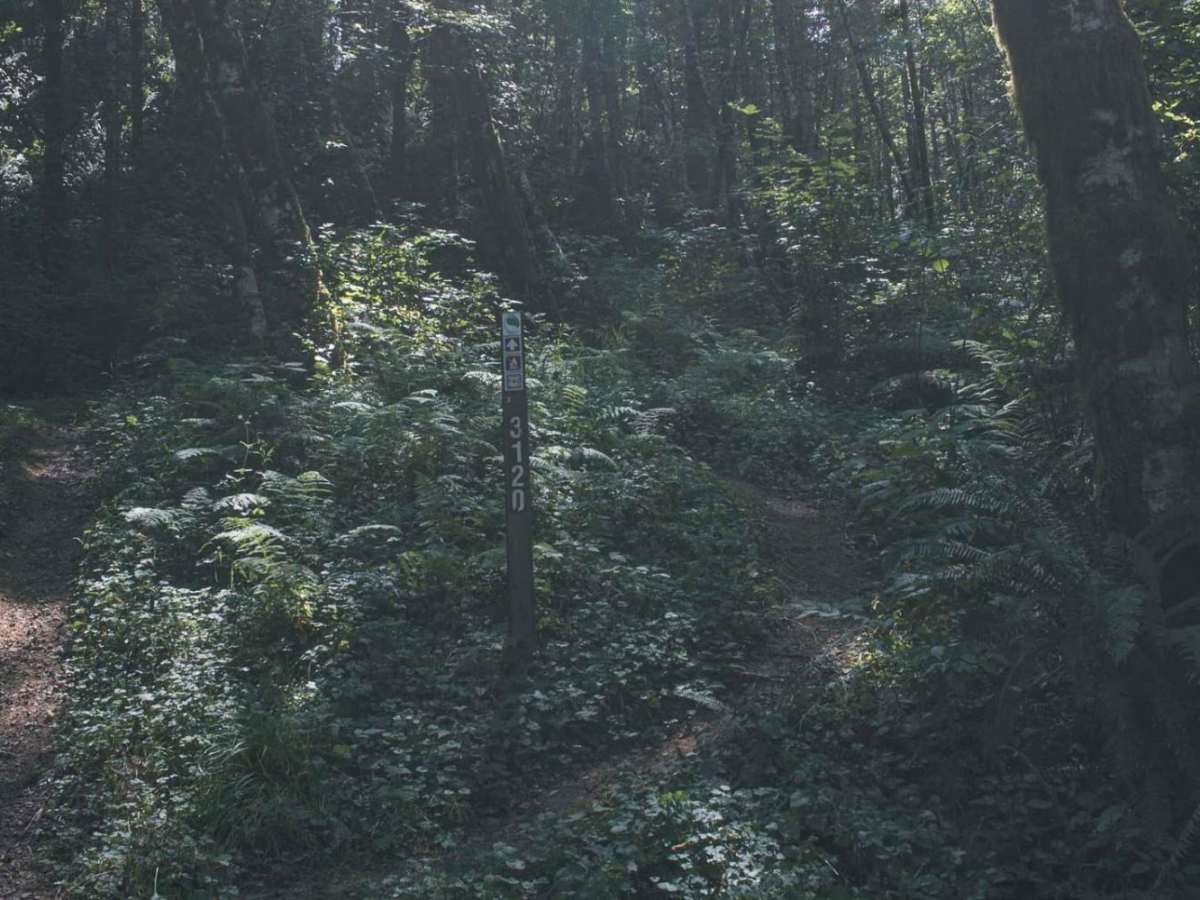 Gopher Creek photo 3