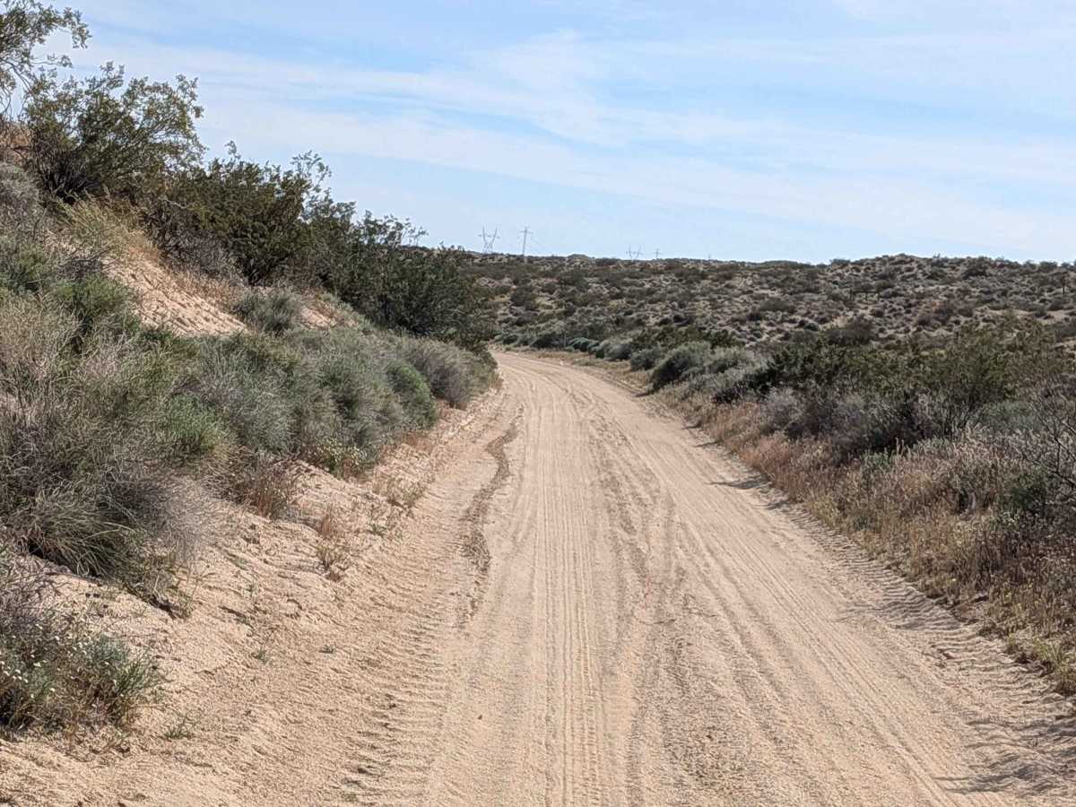 BLM SC94 trail photo