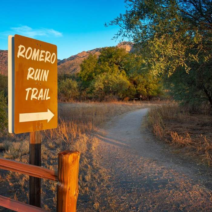 Near Romero Ruin Interpretive Trail