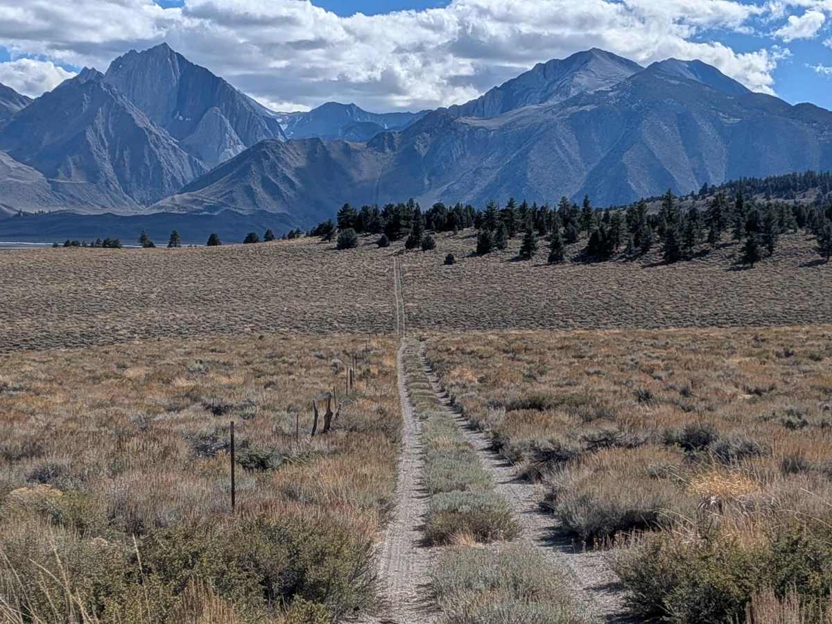 FS 3S144 trail photo