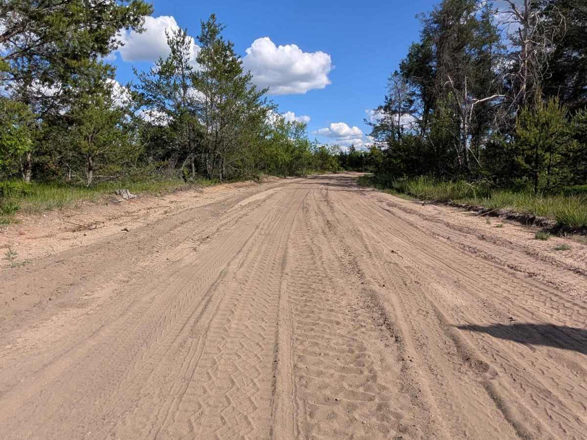 Pheasant Trail photo 3